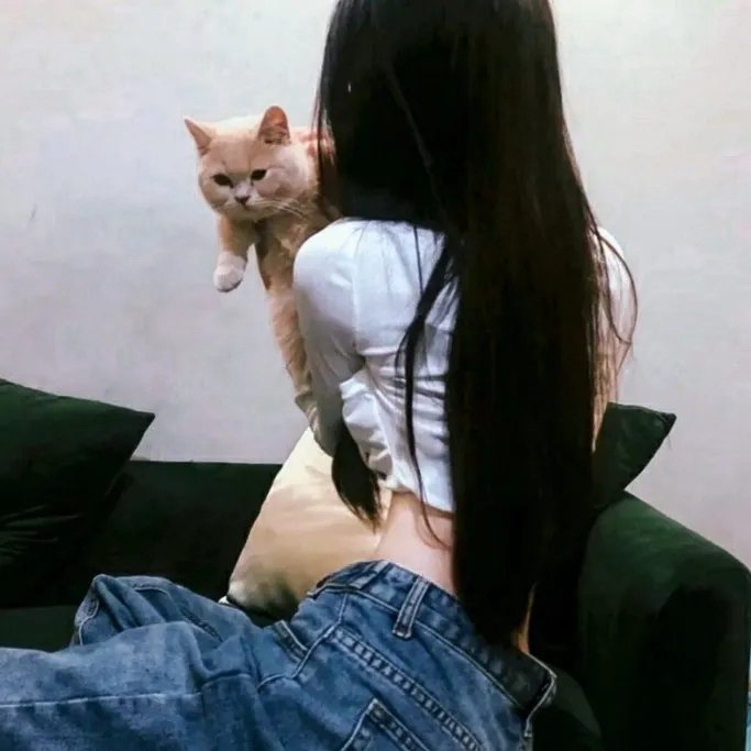 碎片人生